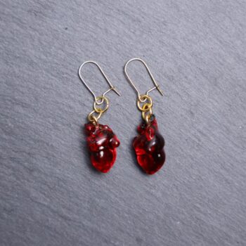 Anatomical Heart 3D Earrings. These earrings are made with clear acrylic. Deep red coloring. Comes with gold hooks that is nickel free.